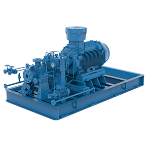 FH6M Horizontal High Speed Pump